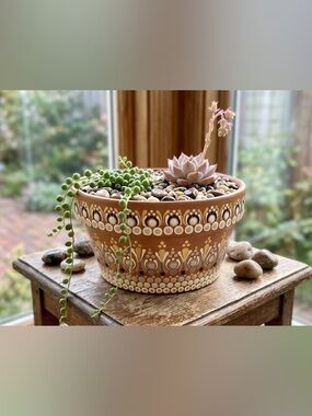 Hand Painted Wide Planter – Terracotta Succulent Pot . Unique Artisan Gift